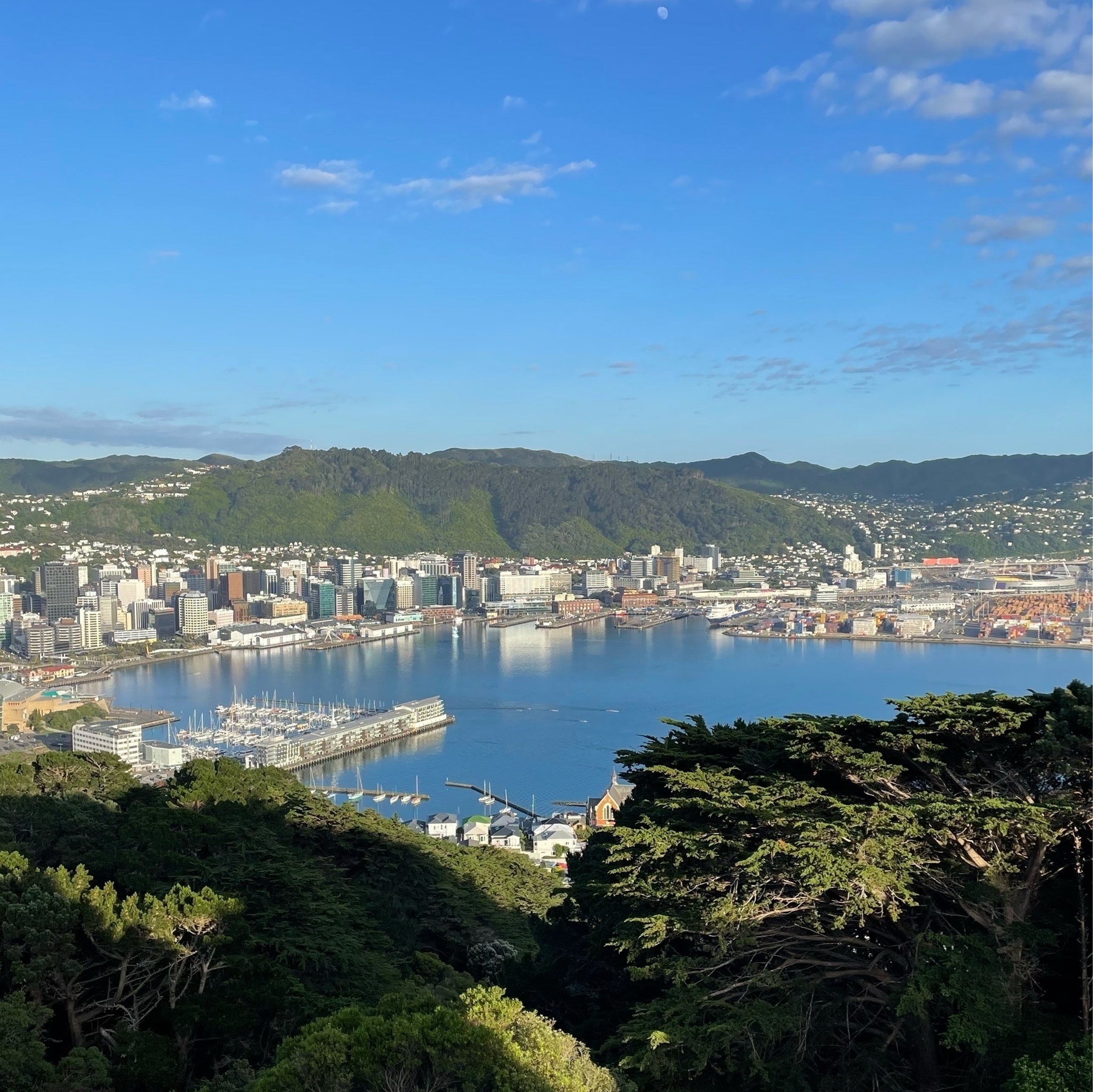 View of a city and harbour ringed by hills from a lookout. Green trees and vegetation in the foreground, blue skies with flecks of clouds beyond. 