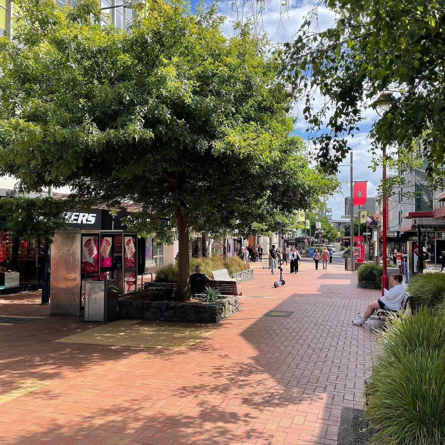 Trees shading a paved pedestrian mall. 